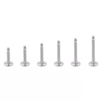 Titan Highline® Basic ROH Micro Labret