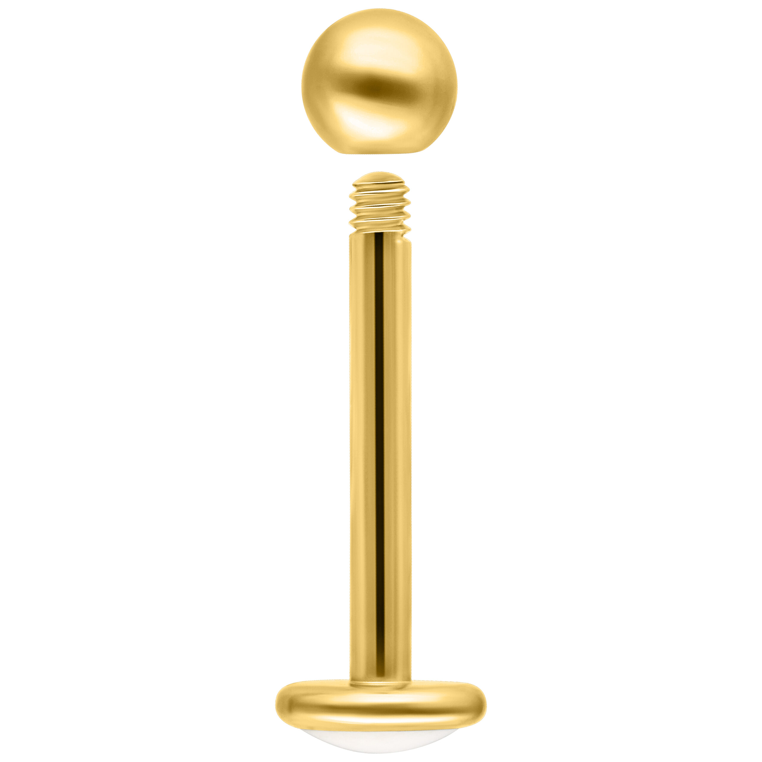 Goldenes Labret aus Titan mit Außengewinde auf weißem Hintergrund