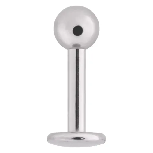 Silver Stainless Steel Labret