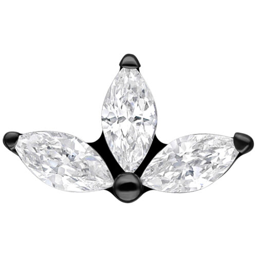 Push Fit Crystal Lotus Attachment - Schwarz