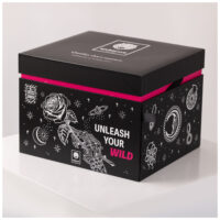 Wildcat Adventskalender 2025 in Schwarz Schwarzer Wildcat Adventskalender 2025 mit weißen Illustrationen auf weißem Hintergrund