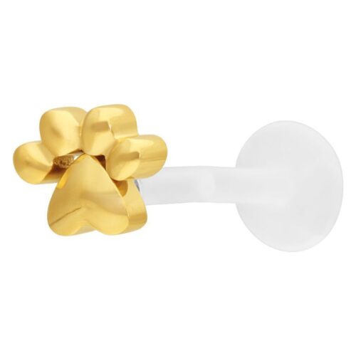 Golden schraubbares Labret Piercing mit Pfotenmotiv auf weißem Hintergrund