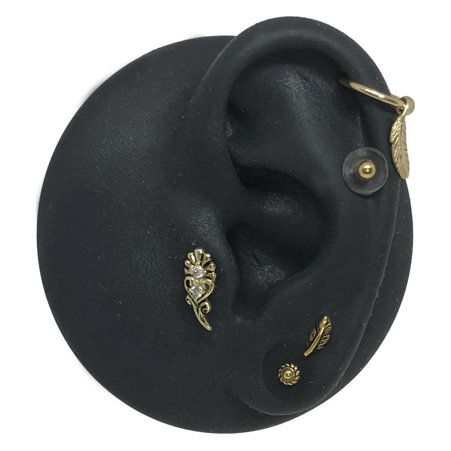 Silikon Discs gegen Wildfleisch Silikon Discs gegen Wildfleisch