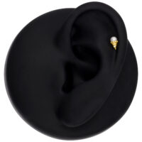 Goldener Push Fit Aufsatz an schwarzem Ohrmodell platziert