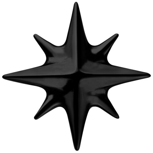 Push Fit Star Attachment - Schwarz