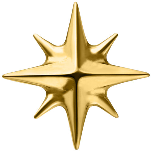 Push Fit Star Attachment - Gold