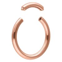 Rosegold Segment Ring Rosegold Segment Ring
