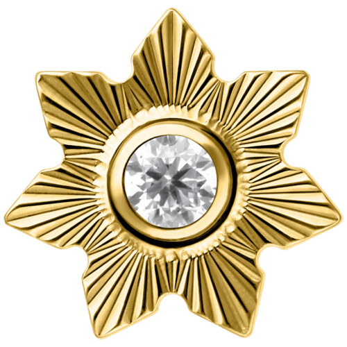 Push Fit Riffled Winter Jasmine Attachment - Gold