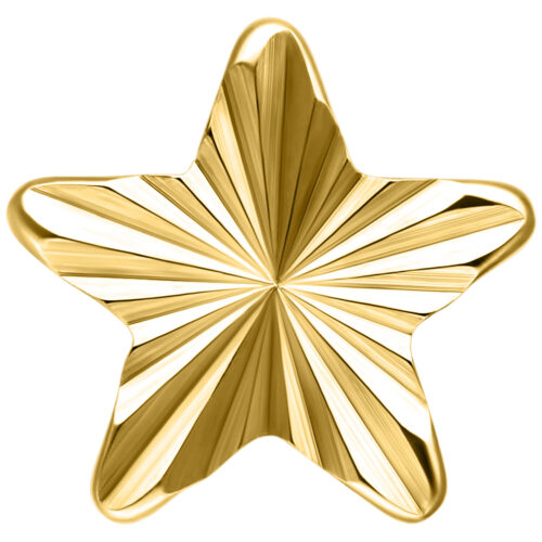 Push Fit Riffled Winter Star Attachment - Gold
