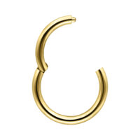 14K Gold Hinged Ring - 1,2 mm, 8,0 mm Goldener 14K Piercingring mit Scharnier, Stärke 1,2 mm, Durchmesser 8 mm