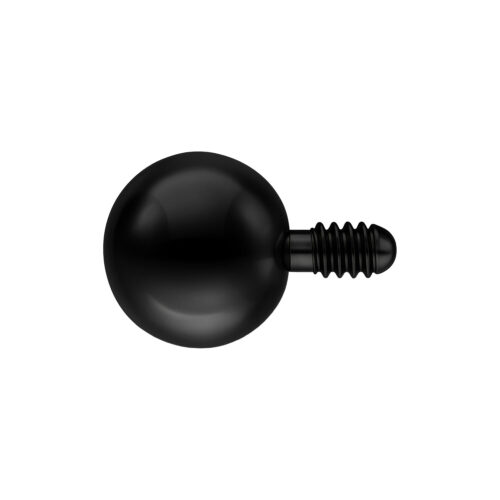 Schwarze 2,5 mm Labret-Kugel auf weißem Hintergrund, Titan