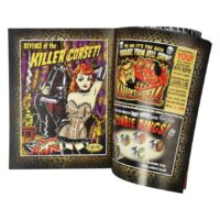 Offenes Comic-Heft mit buntem Voodoo-Motiv und Illustrationen von Vince Ray