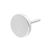 Silberfarbener Push Fit Disc Aufsatz Titan Silberfarbener Push Fit Disc Aufsatz aus Titan auf weißem Hintergrund