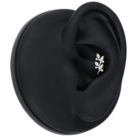 Silberner Kristallblätter Aufsatz im schwarzen Ohr auf neutralem Hintergrund