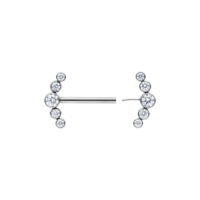 Silberner Penta Crystal Barbell mit klaren Kristallen, Länge 14mm