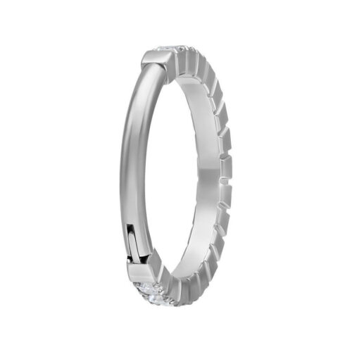 Silberner Titan Clicker mit klaren Kristallen auf weißem Hintergrund